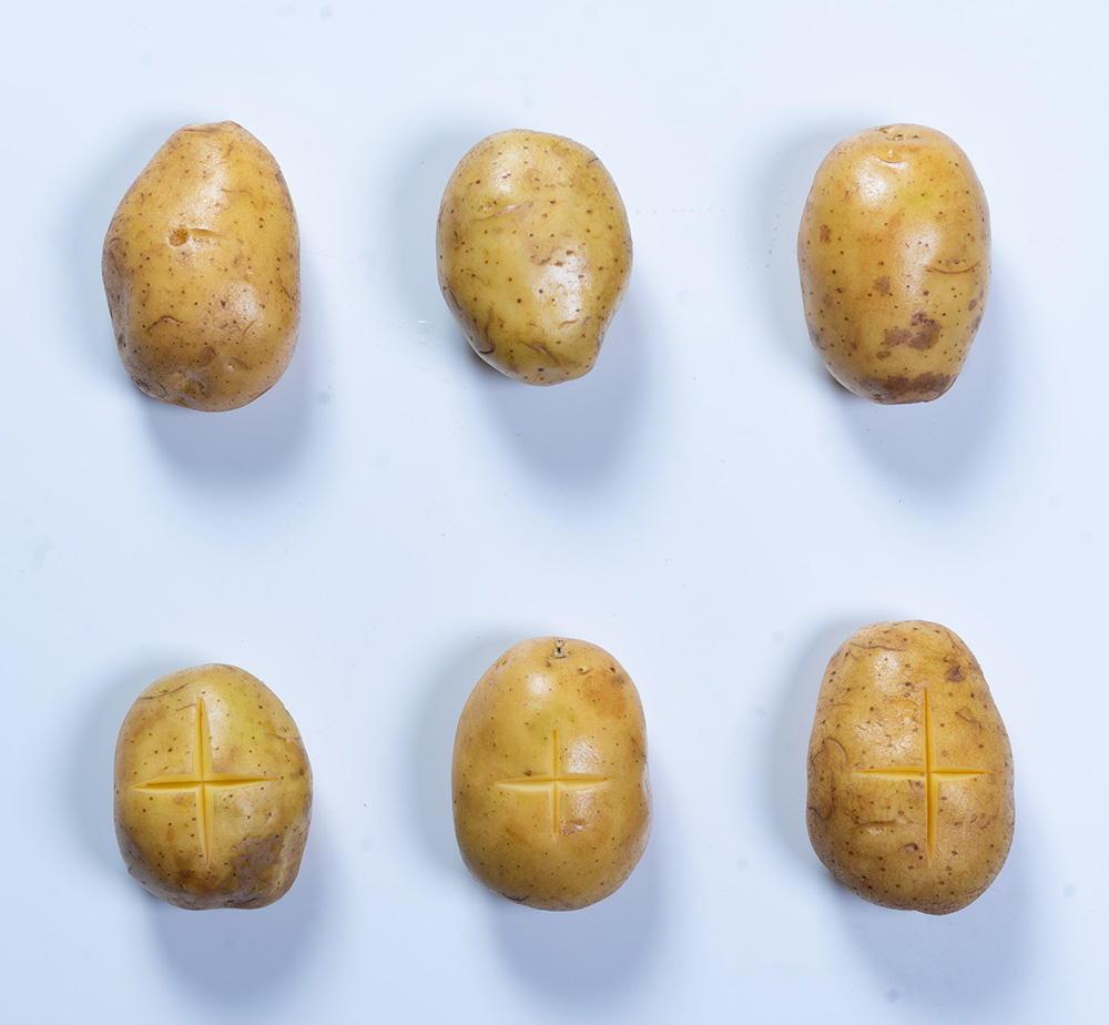 Potato 3D model – ZB-Vision